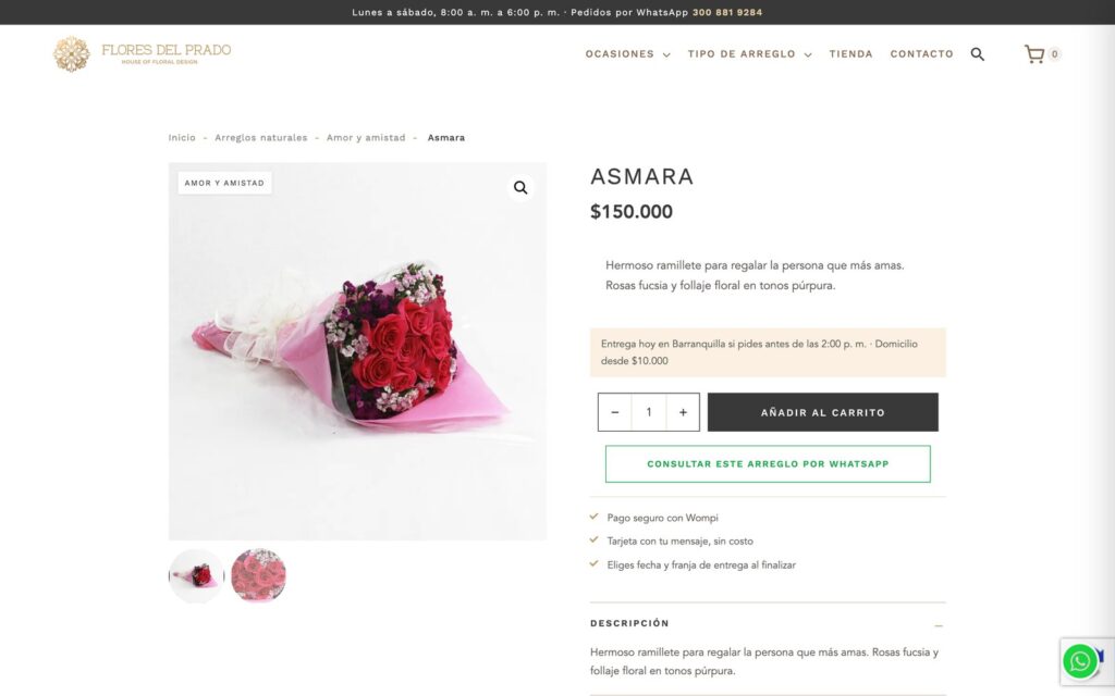 Ficha de producto: entrega, pago seguro, carrito y consulta por WhatsApp